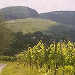 Апартаменты Szafranzimmervermietung Винненден