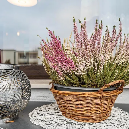 Szafranzimmervermietung 빈넨